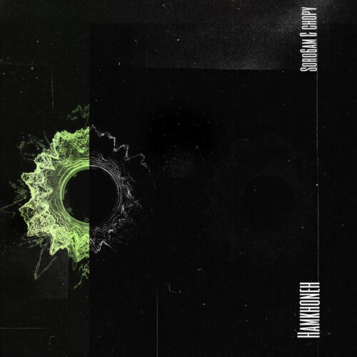 دانلود آهنگ سروشم و چاپی همخونه دانلود آهنگ سروشم و چاپی همخونه