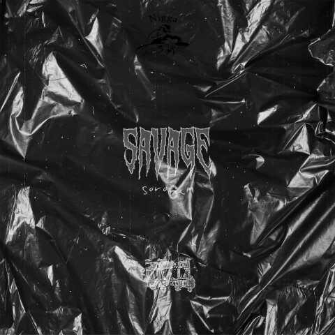 دانلود آهنگ سروشم وحشی