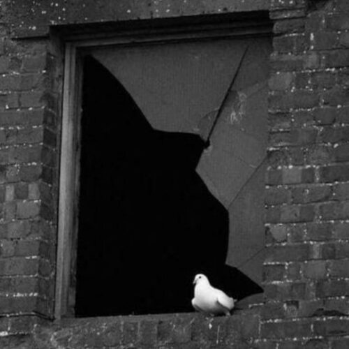 دانلود آهنگ جواد سیلی